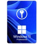ويندوز 11 برو